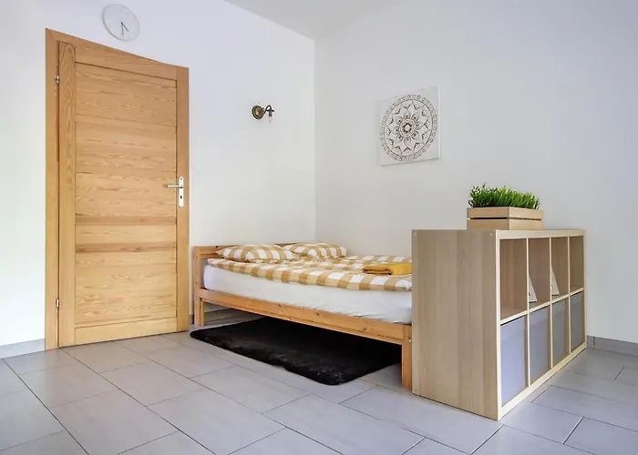 アパート Pet Friendly In *