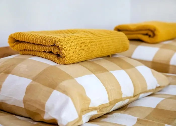 Pet Friendly In アパート *